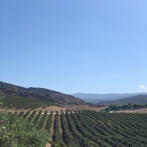 Meet your Posher, Anh